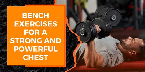 Bench Exercises for a Strong and Powerful Chest | MAGMA Fitness