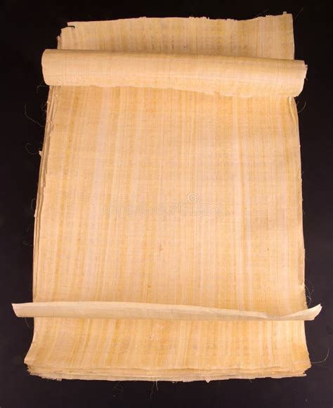 Egyptian Roll Blank Papyrus For Message Stock Photo Image Of