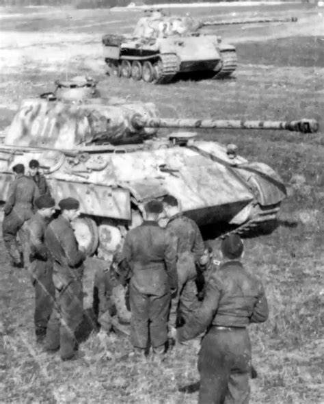 World War Ii Pictures In Details Panther Of Wiking Division At Ss