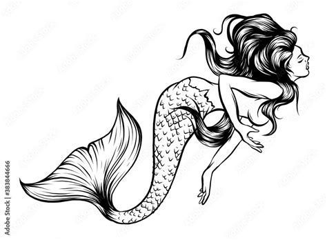 Mermaid Watercolor Vector Silhouette Illustration Graphic Art Stock