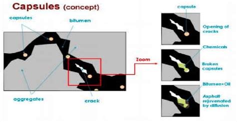 -Micro-capsulation Process | Download Scientific Diagram