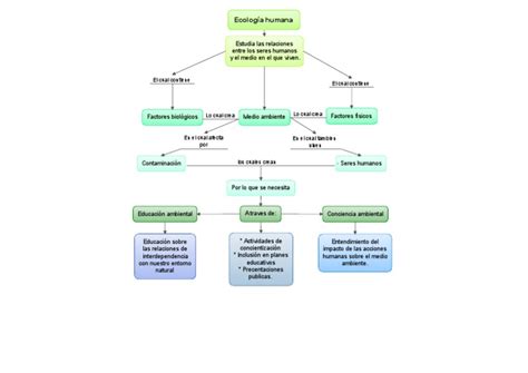 Arriba 65 Imagen Ecologia Humana Mapa Mental Abzlocal Mx