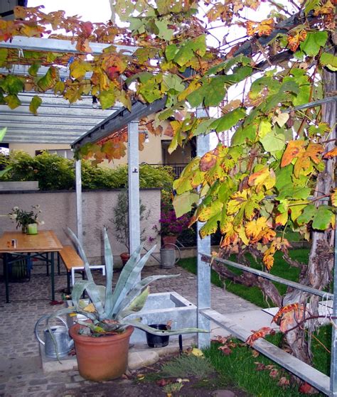 Pergola Bauernhaus Metall Werk Zürich Ag