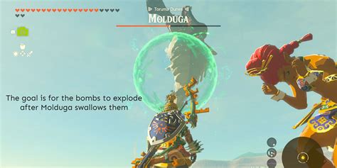 Zelda Totk The Missing Owner Quest Guide