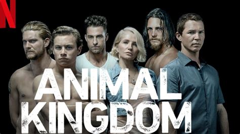 Watch Animal Kingdom: All 4 Seasons on NetFlix From Anywhere in the World