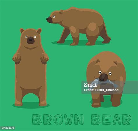 Ilustrasi Bear Brown Bear Cartoon Vector Ilustrasi Stok Unduh Gambar