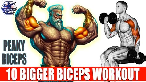 Top 10 Peaky Biceps Workout Get Bigger Biceps Shredded Blade Youtube