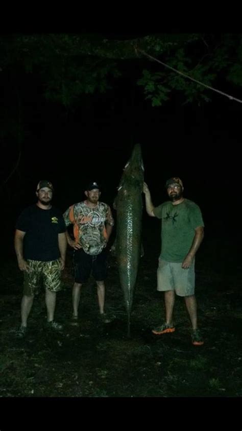 Alligator Gar Bowfishing Association Of America