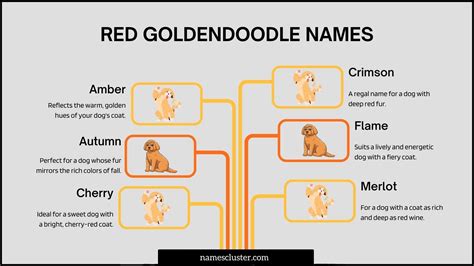 145+ Cute Unique Funny and Cool Goldendoodle Names