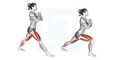 Lunge Stretch Guide Benefits And Form