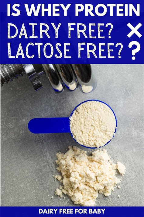 Is Whey Protein Dairy Free And Lactose Free What You Need To Know