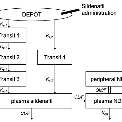 Outline Of The Final Model Download Scientific Diagram