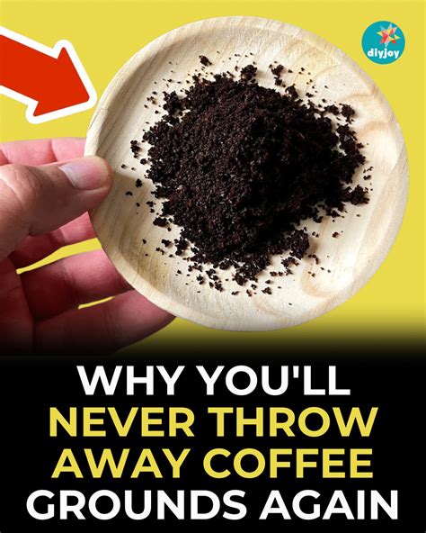 Why You Ll Never Throw Away Coffee Grounds Again