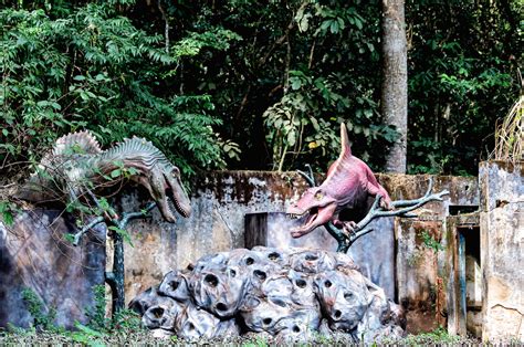 Parque Dos Dinossauros De Miguel Pereira Abrir As Portas Em Outubro