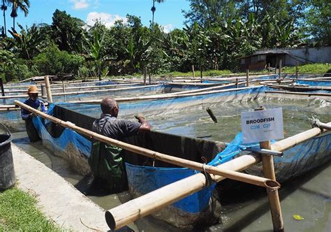 project  produce fish feed   country launched ceylon independent