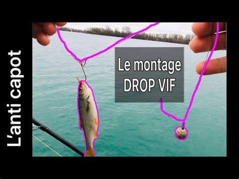 Carnassier Le Montage La Technique Le Fish L Anti Capot P Che Aux