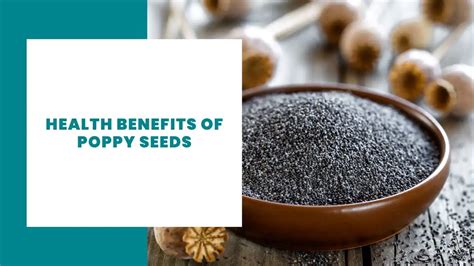 8 Health Benefits Of Poppy Seeds