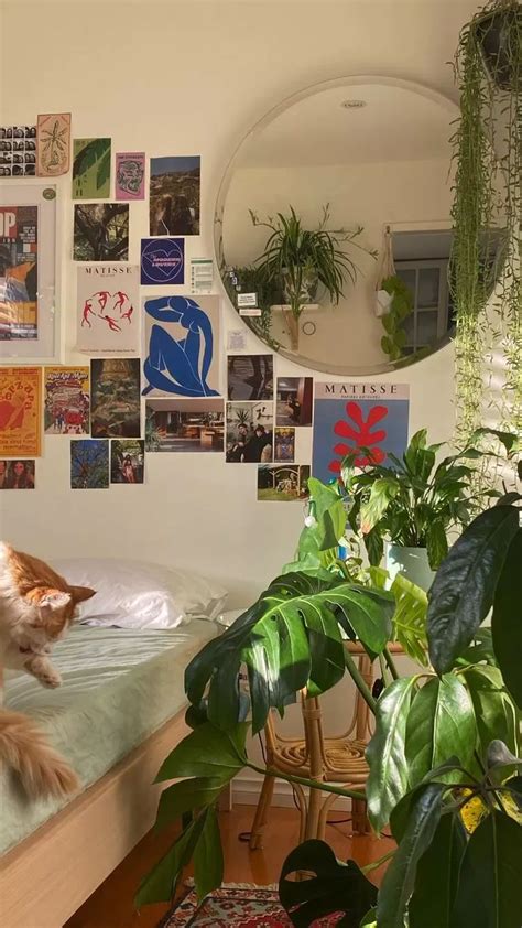 A Cat Sitting On Top Of A Bed Next To A Mirror And Plant In A Room