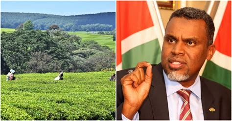 Dpp Noordin Haji Orders Probe Into Sexual Exploitation Deliberate Hiv