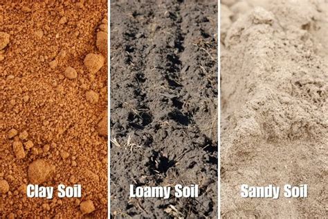 How To Improve Clay Soil For Gardening And Turn It Into Fertile Rich Soil