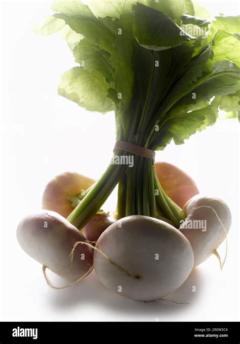 Bunch Of Fresh Turnips Stock Photo Alamy