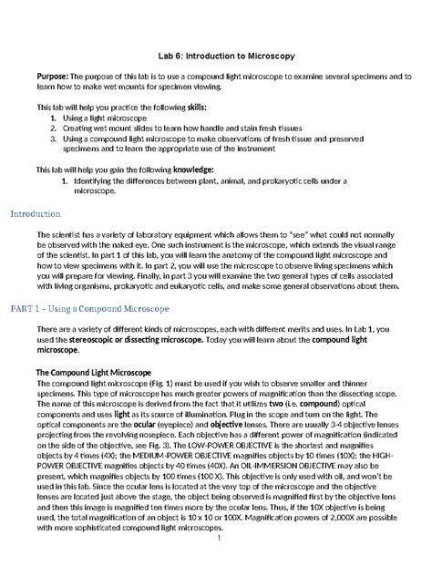 Lab 6 Microscopy Final Lab 6 Introduction To Microscopy Purpose