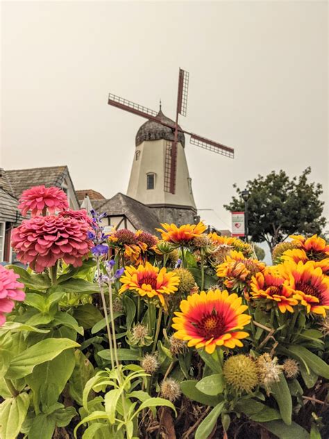 Solvang-California-Windmill - Appetites Abroad