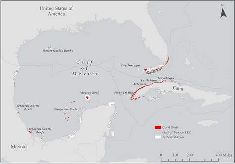 Coral Reef Gulf Of Mexico Map - United States Map