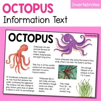 Octopus Animal Fact Sheet - Diet, Habitat, Features, Size etc - Invertebrates