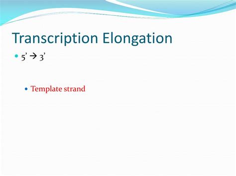 Ppt Transcription Powerpoint Presentation Free Download Id3601395