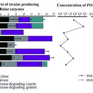 Depth Profile Of Extracellular Proteolytic Enzyme Activities In The