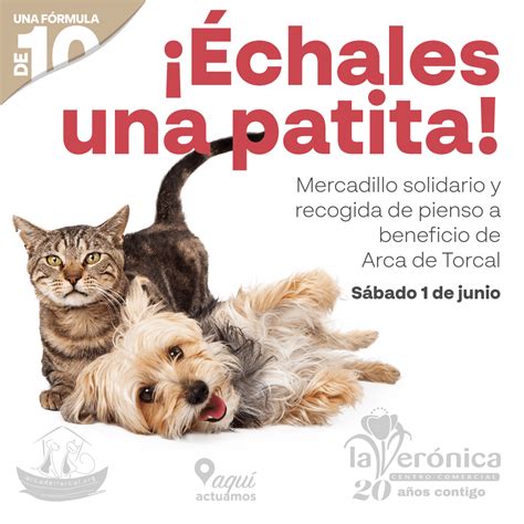 Mercadillo y recogida de alimentos para animales en La Verónica