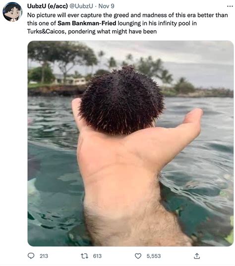 Lounging In His Infinity Pool Sam Bankman Fried Sbf Know Your Meme