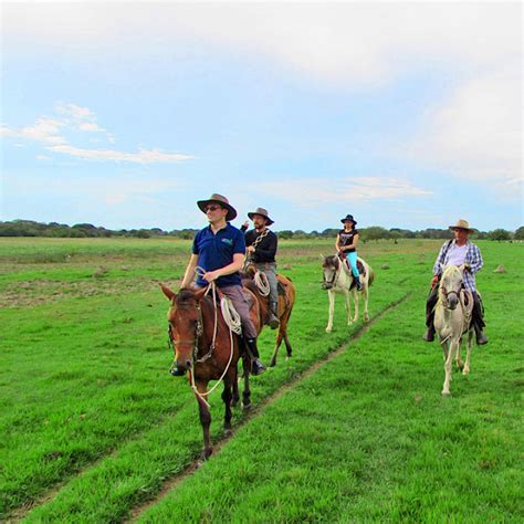 Los Llanos | Colombia Eastern Plains | Uncover Colombia