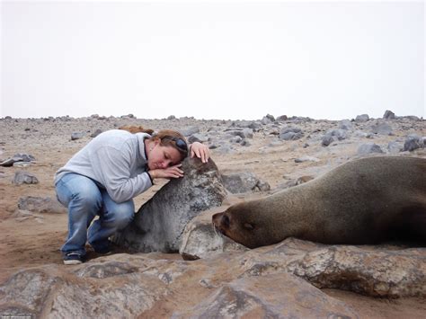 Cape Cross Seal Reserve – Babak Fakhamzadeh