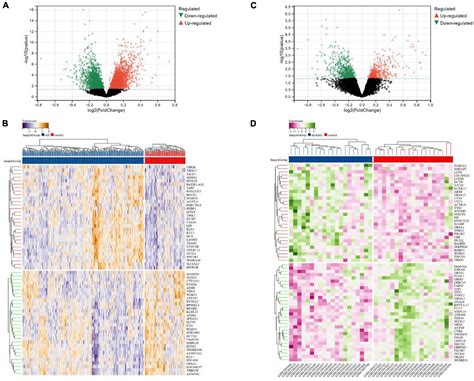 Frontiers Bioinformatics Analysis And Prediction Of Alzheimers