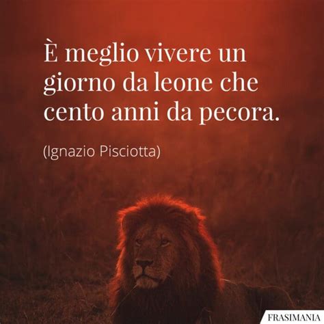 25 Frasi Sui Leoni In Inglese E Italiano