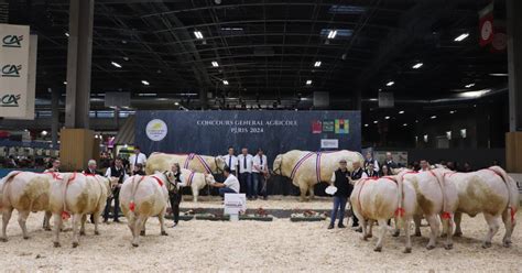 Salon De Lagriculture De La Bonne Viande Charolaise Au Menu De