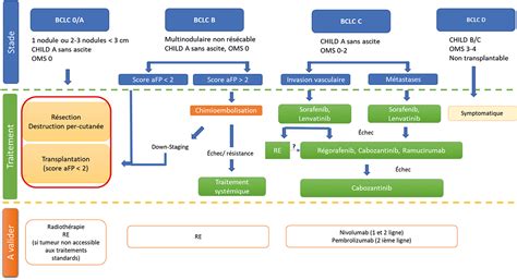 Traitement Du Carcinome Hépatocellulaire Avancé Fmc Hge