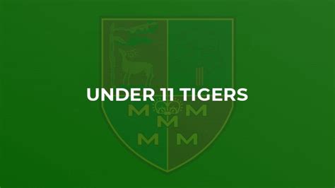 Reading Cricket Club Under 11 Tigers