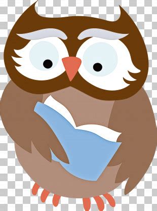 Owls Birds Beak Cartoon Bird Of Prey Png Clipart Beak Biology Bird