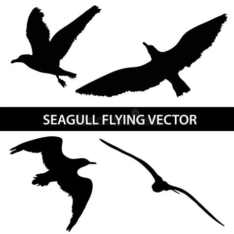 Set Of Silhouette Seagull Flying 4 In 1 On White Background Stock Vector - Image: 62306276