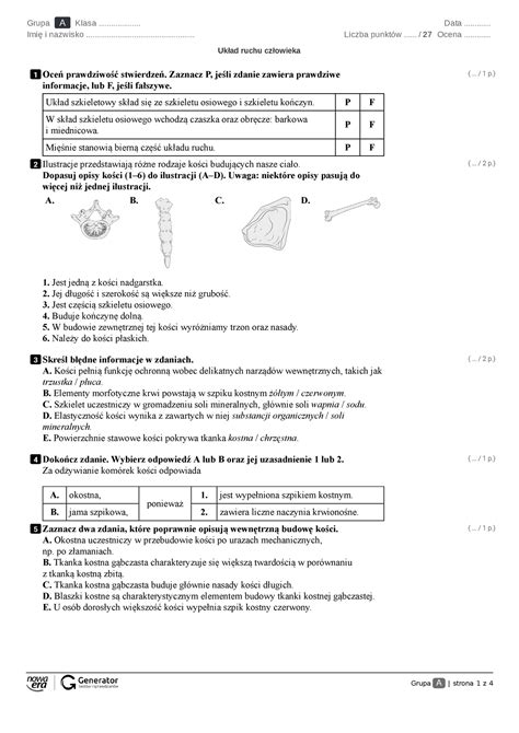 Biologia Układ ruchu człowieka gr A 1 6 Grupa A strona 1 z 4 Grupa