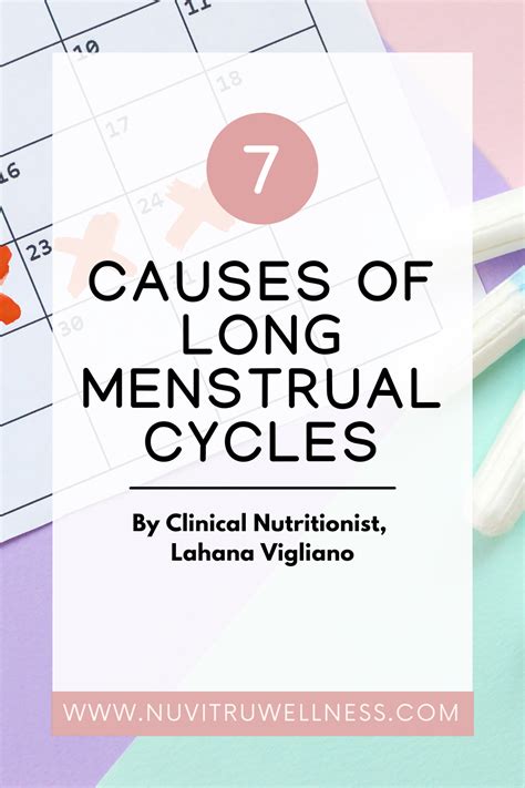 Causes Of Long Menstrual Cycles Artofit