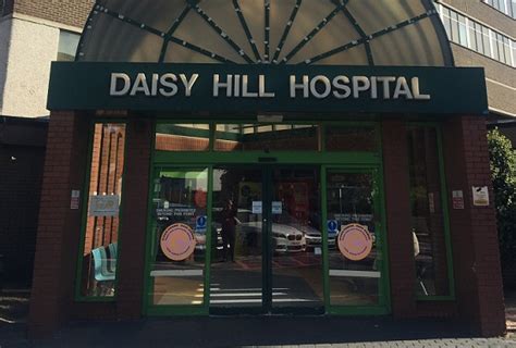 daisy hill 4