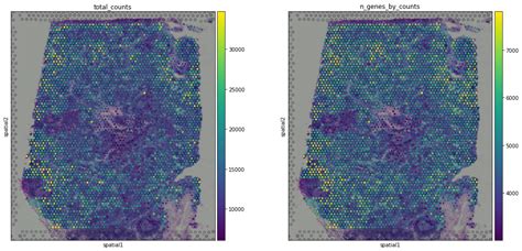 Analysis and visualization of spatial transcriptomics data — Scanpy ...