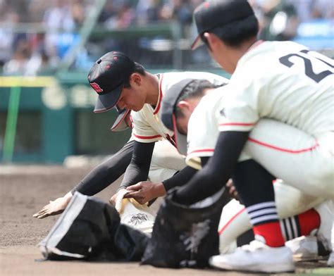 慶応土浦日大甲子園の土を集める土浦日大ナイン撮影大森 寛明 スポニチ Sponichi Annex 野球