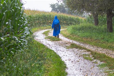 Hiking,hike,rainy day,rain hike,rain - free image from needpix.com