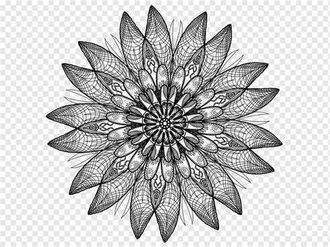 Floral Symmetry Drawing Symmetric Symmetry Monochrome Flower Png