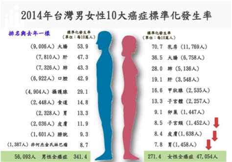 醫籲肝癌患正規治療 提高存活率 秤子維的秘密花園 Udn部落格